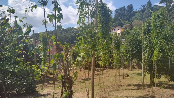 Nova Friburgo Brinda à Cultura Cervejeira:
